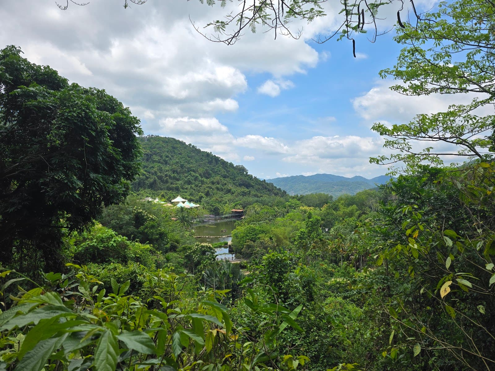 Yanoda Rainforest - Image 1