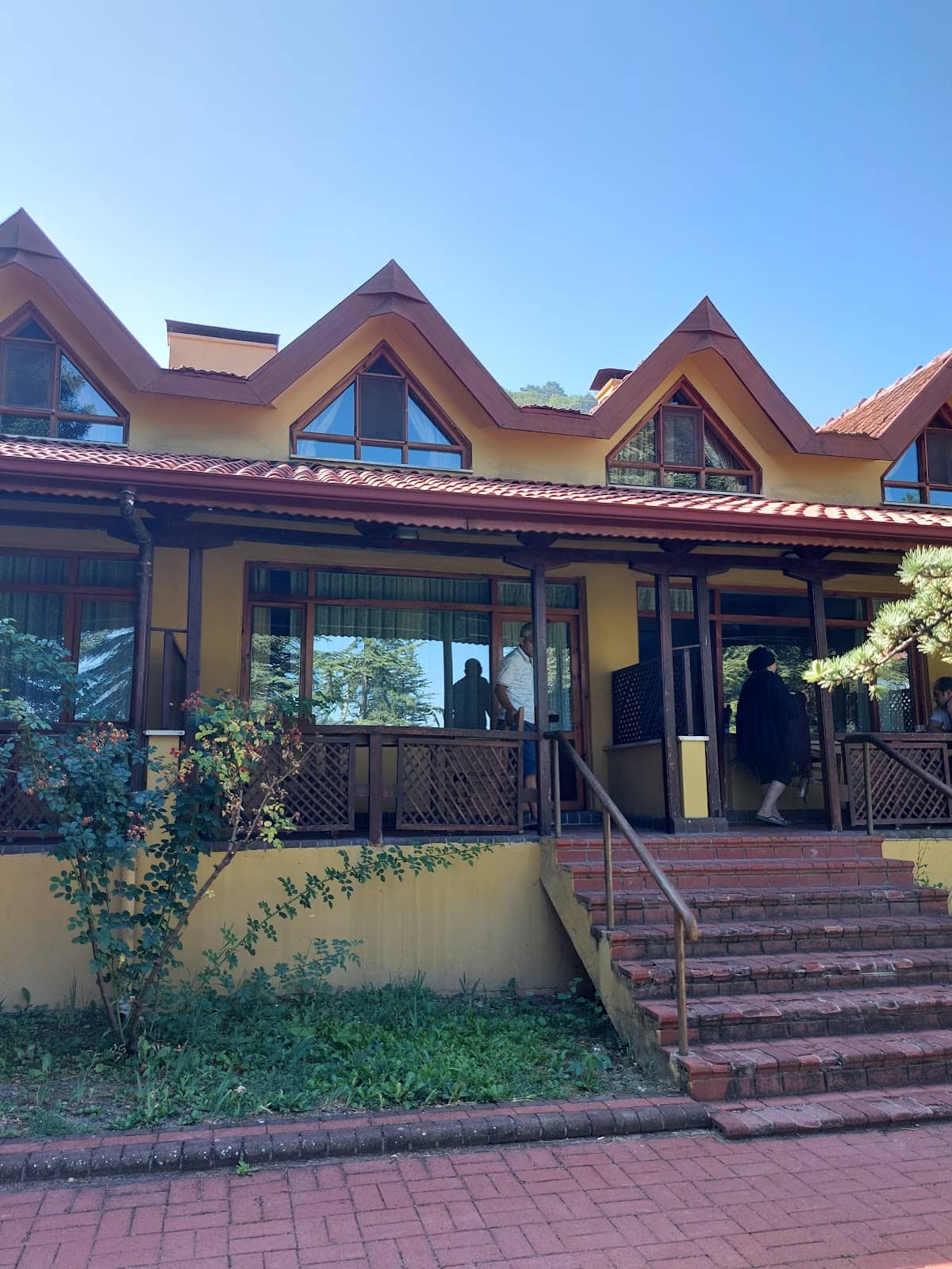 Scenic Mountain Views