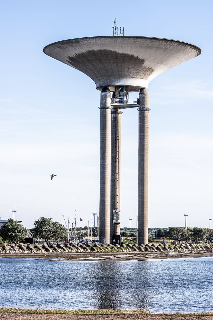 Vertical photo