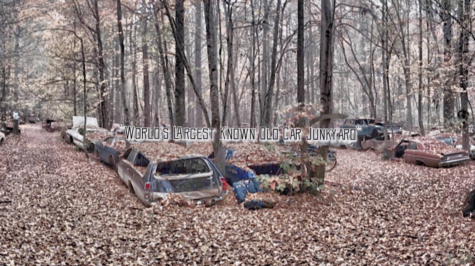 Visionary Art Pieces