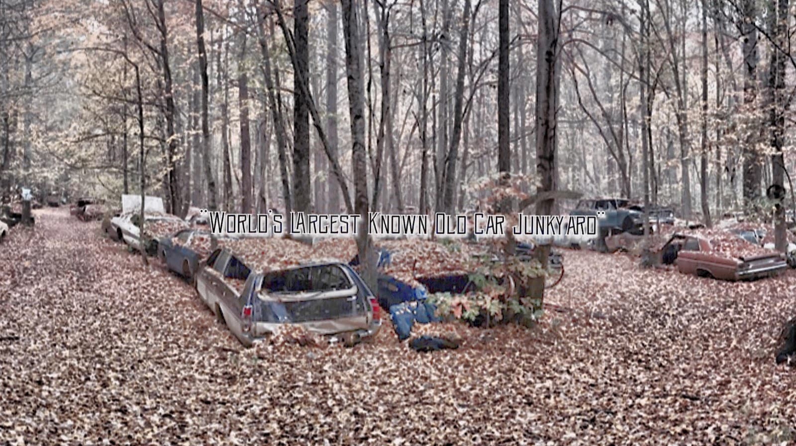 Old Car City USA - Image 1