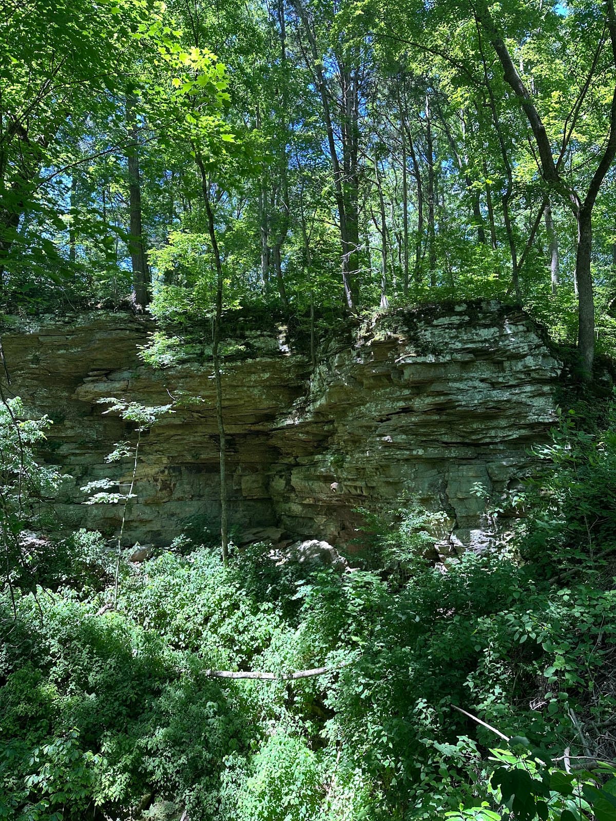 Turnhole Bend Overlook & Nature Trail - Image 1