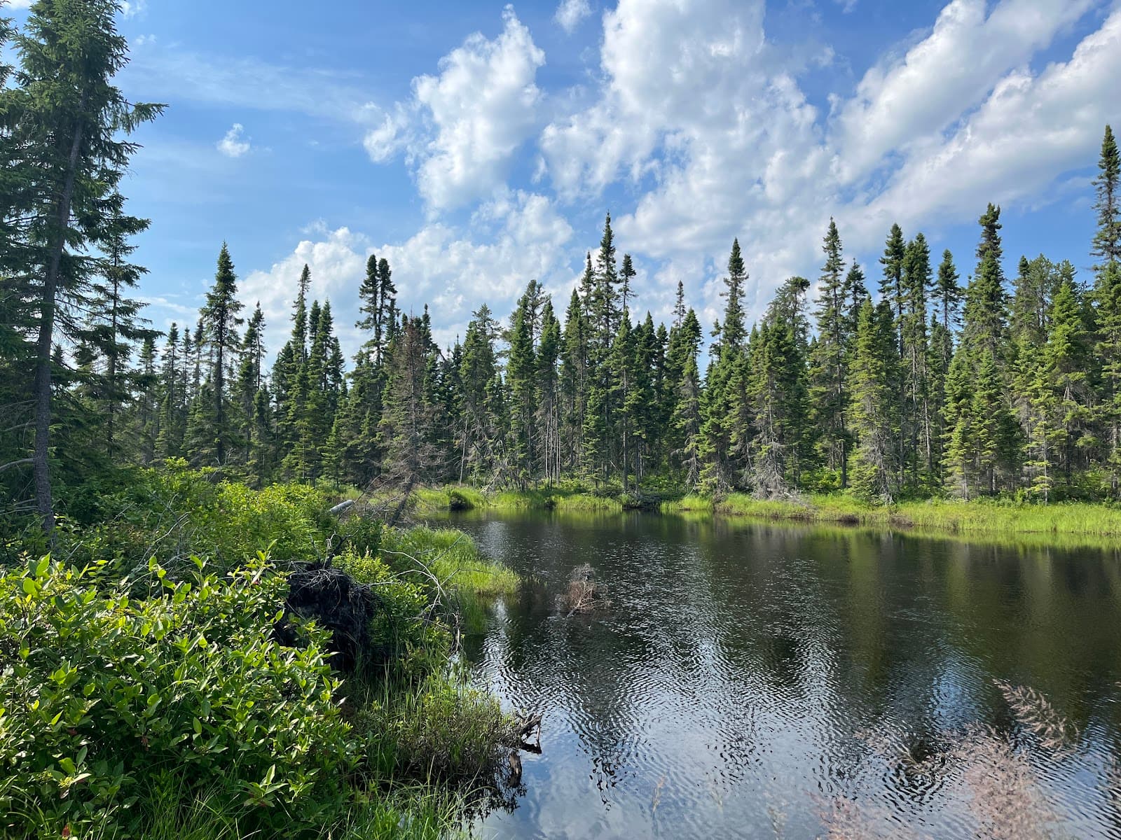 Parc national de la Pointe-Taillon - Image 1