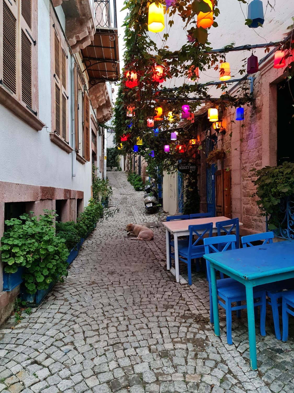 Ayvalik Old Town - Image 1