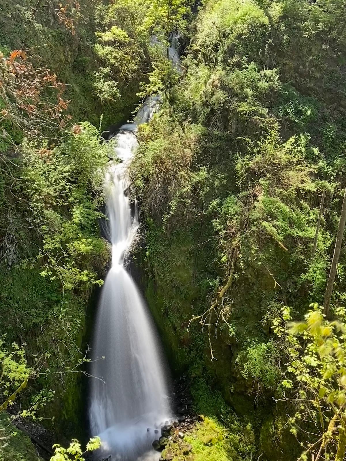 Shepperd's Dell Falls - Image 1