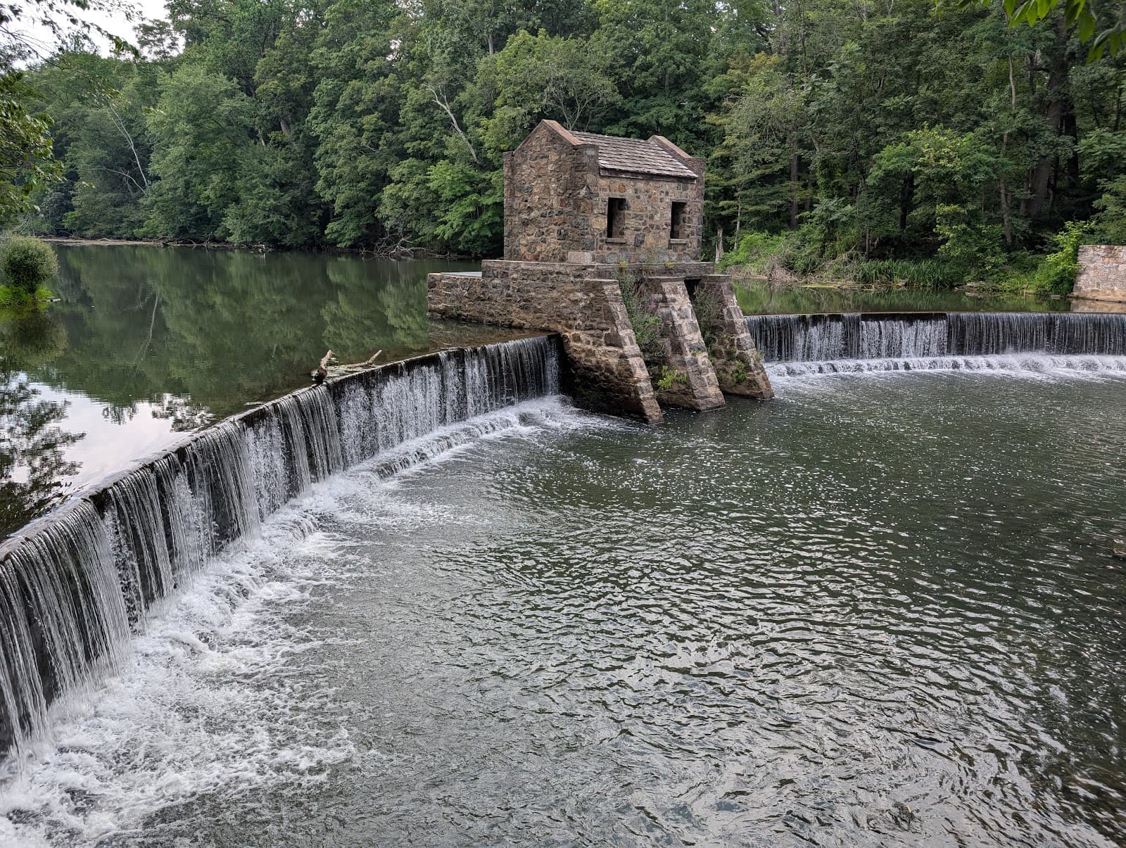 Speedwell Lake Park - Image 1