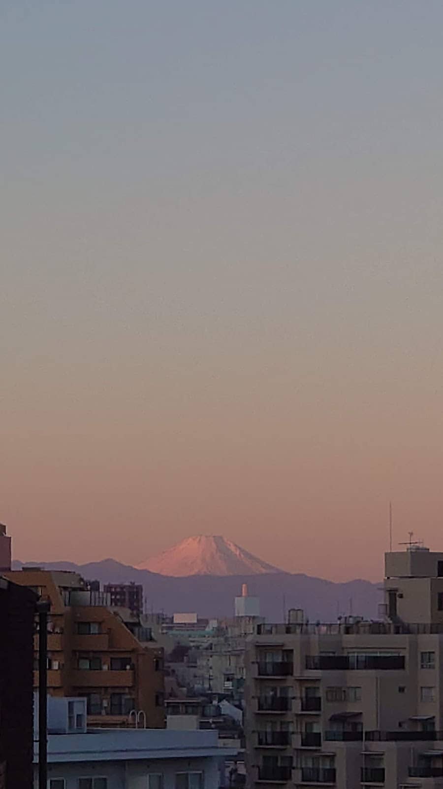 Proximity to Shinjuku