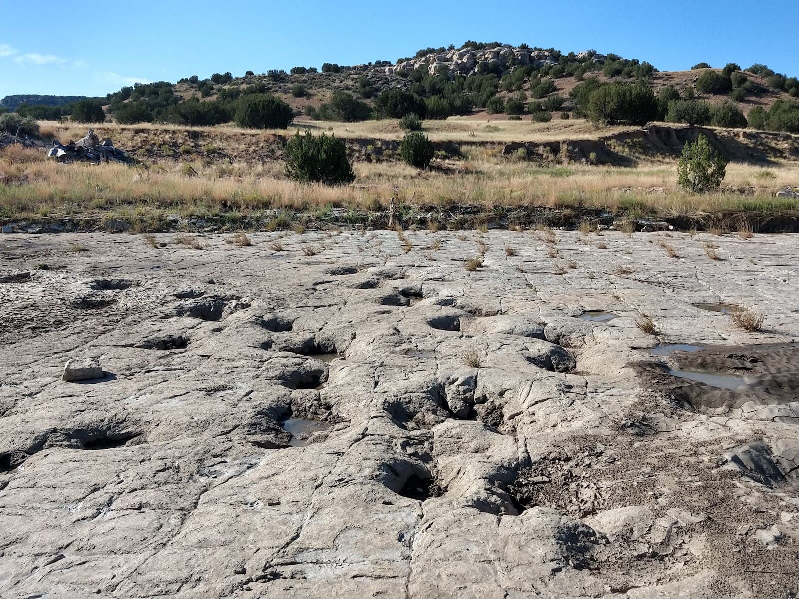 Picketwire Canyonlands Dinosaur Tracks - Image 1