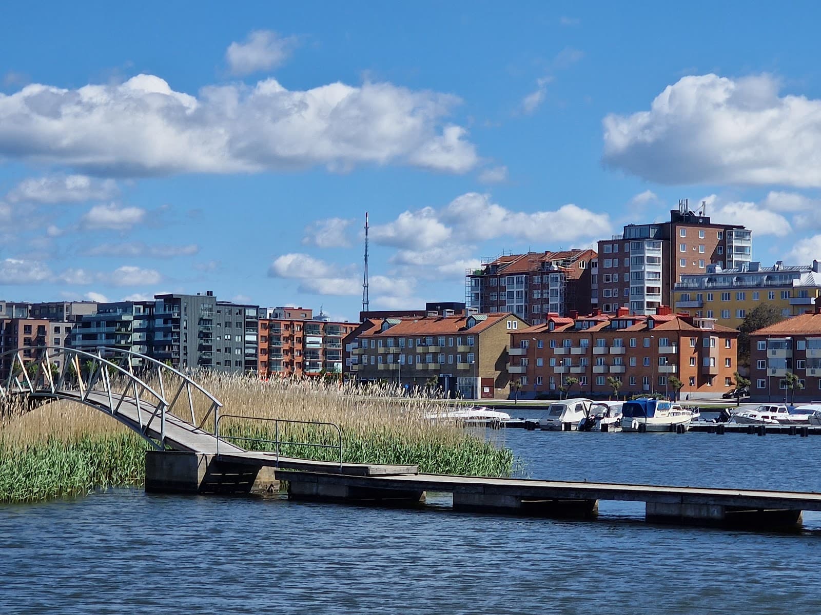 Senoren Island - Image 1