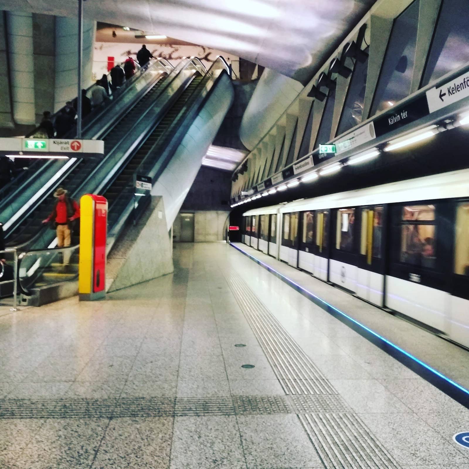 Restaurant & Cafe Scene