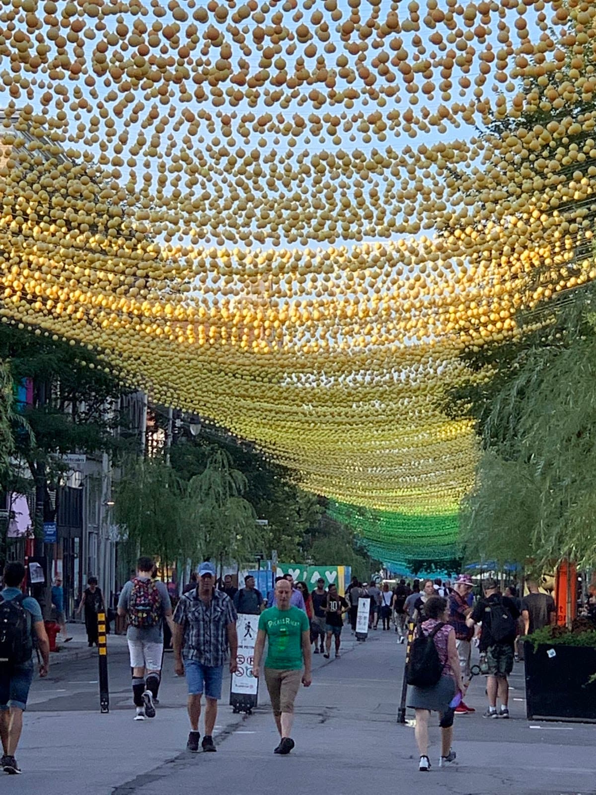 Village Pedestrian Promenade - Image 1