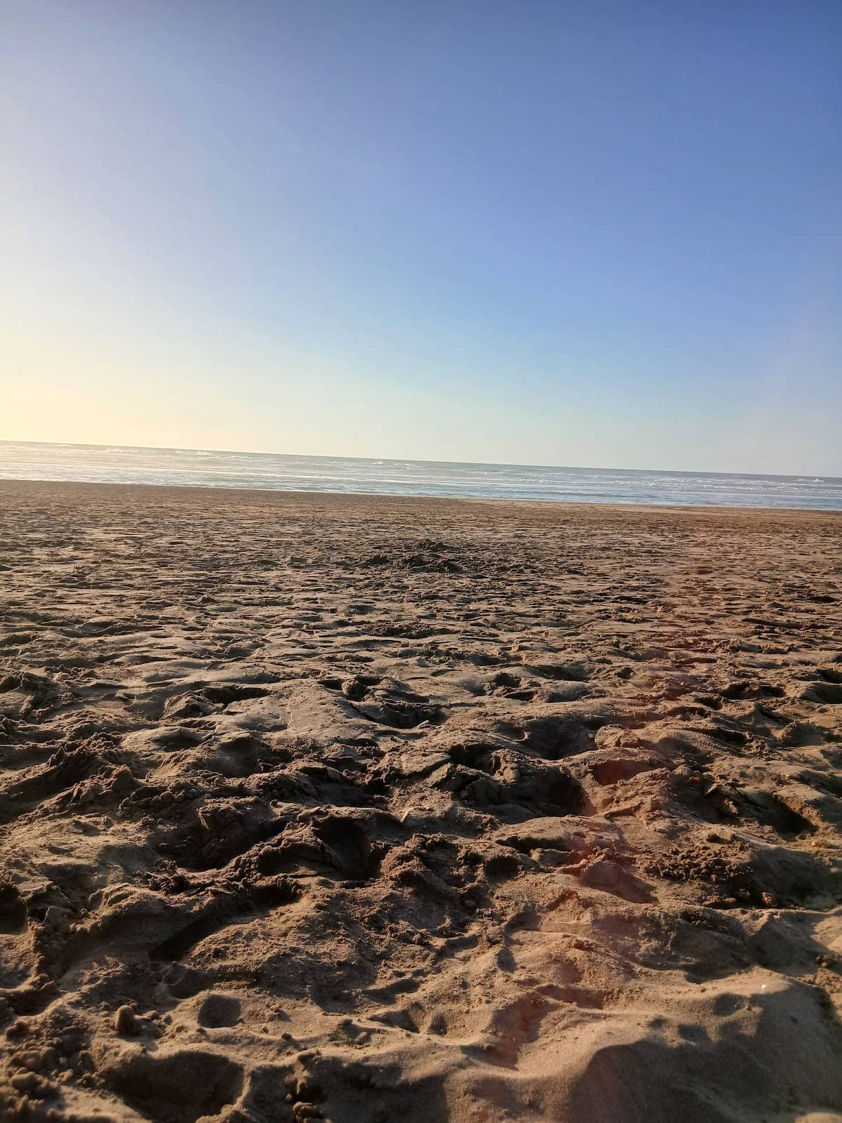 Vertical photo
