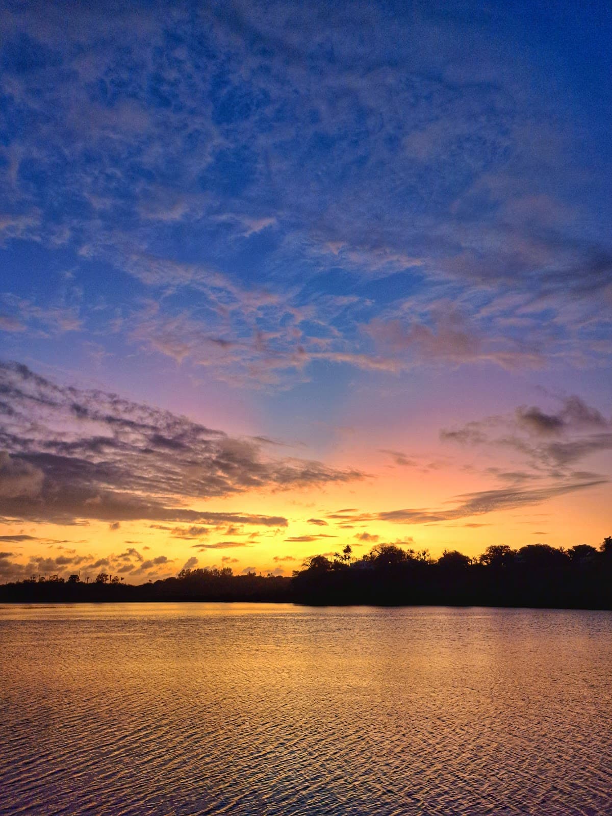 Mtwapa Creek - Image 1