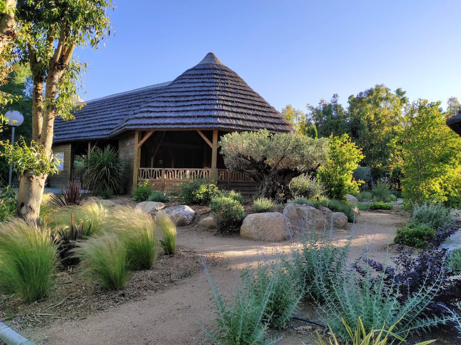 BB Beach Bar & Restaurant