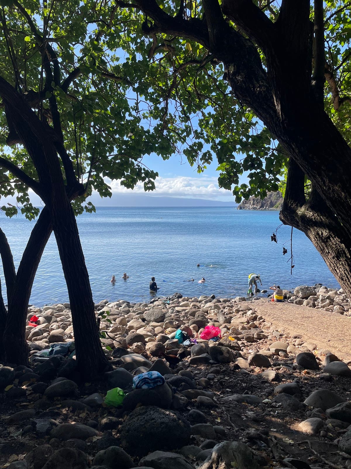 Honolua Bay Marine Reserve - Image 1