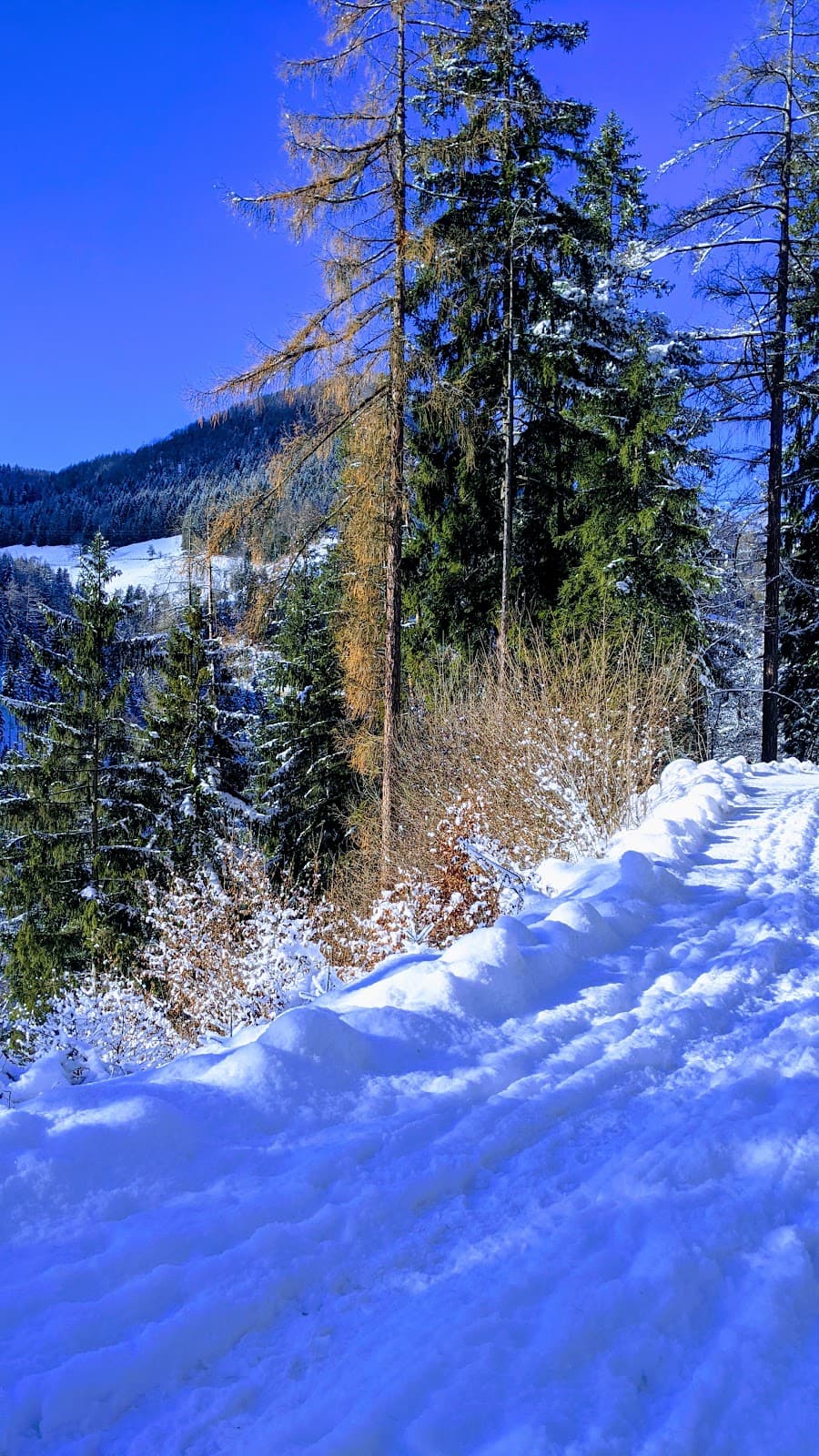 Hafendorf District - Image 1