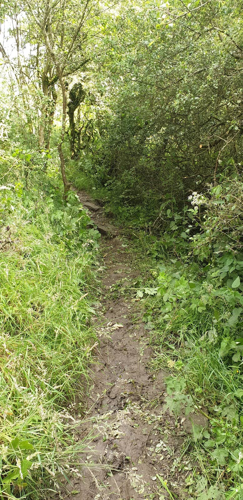 Vertical photo