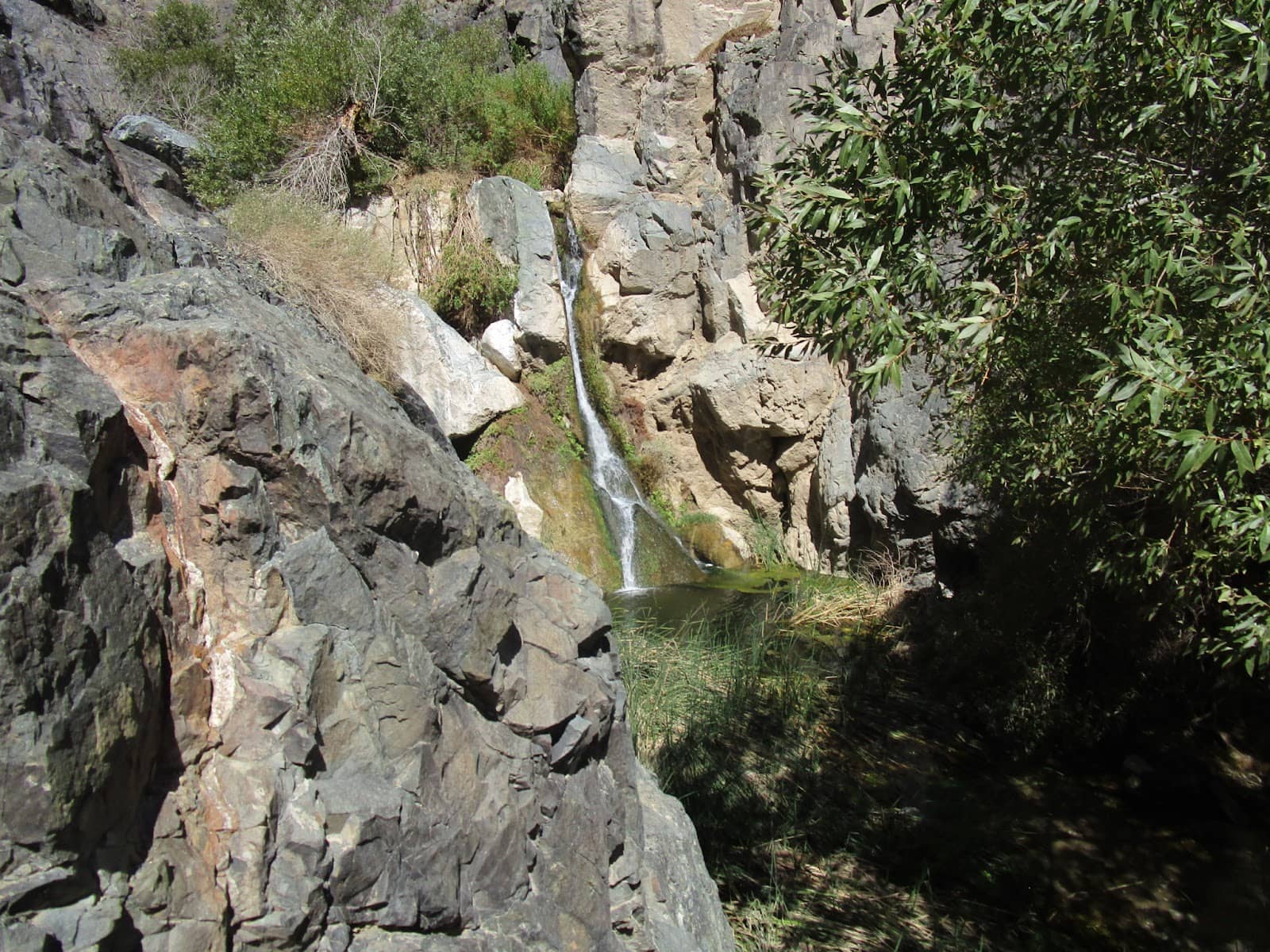 Vertical photo