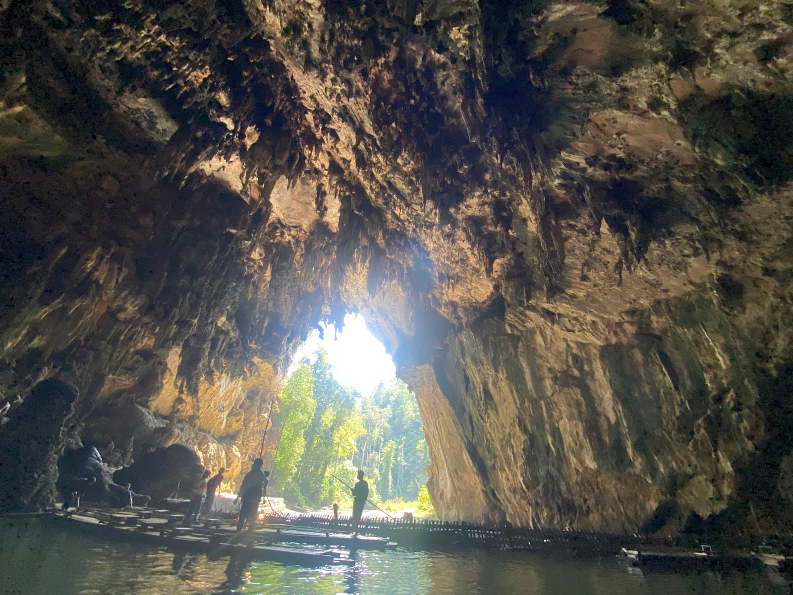Bat Colony Spectacle