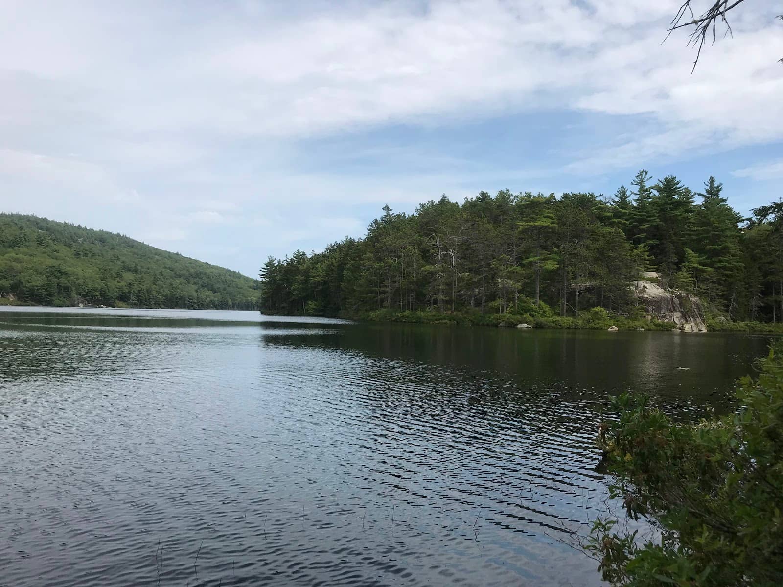 Vertical photo