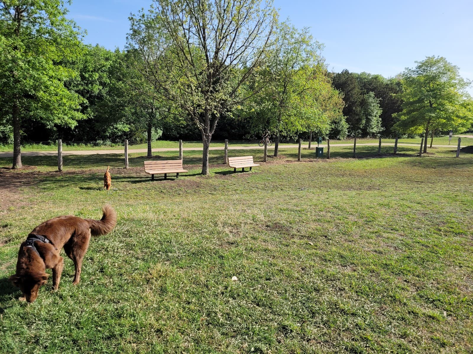 Dog Depot Dog Park - Image 1