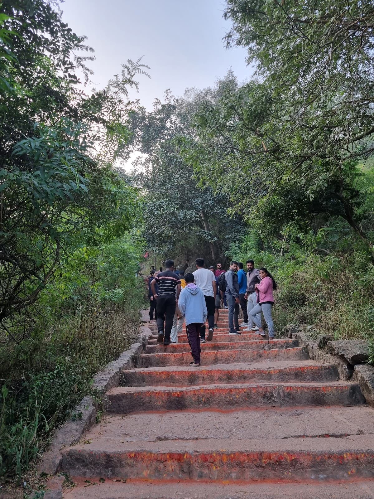 Chamundi Hill Steps Trail - Image 1