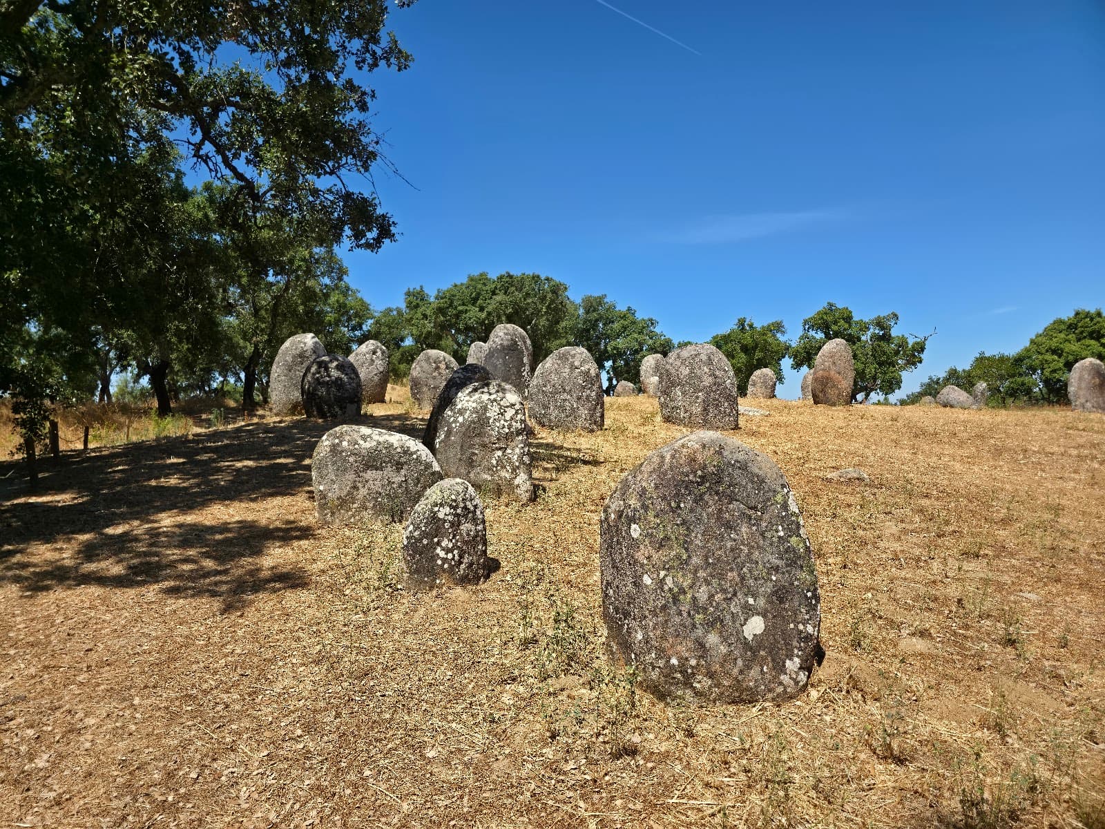 Cromeleque dos Almendres - Image 1