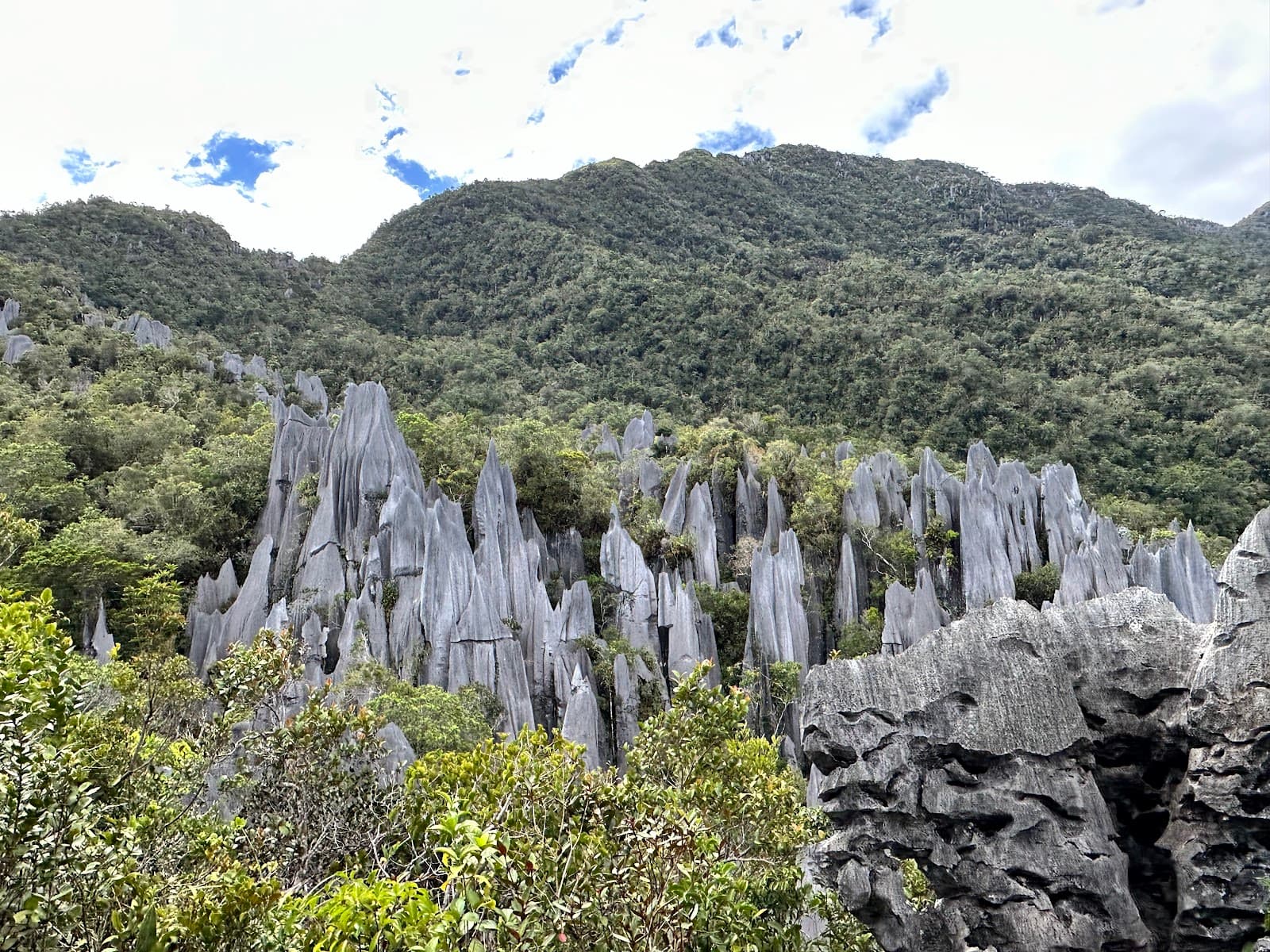 Gunung Mulu National Park - Image 1
