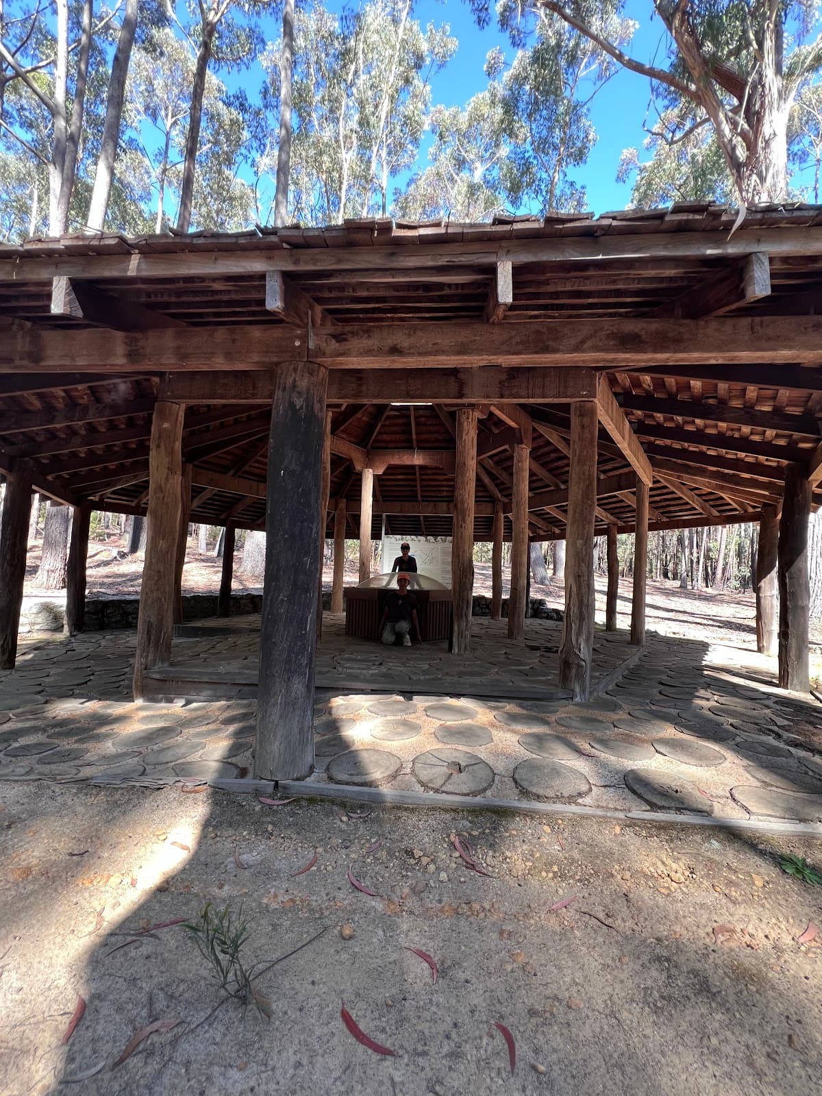 Great Forest Trees Drive (Shannon) - Image 1