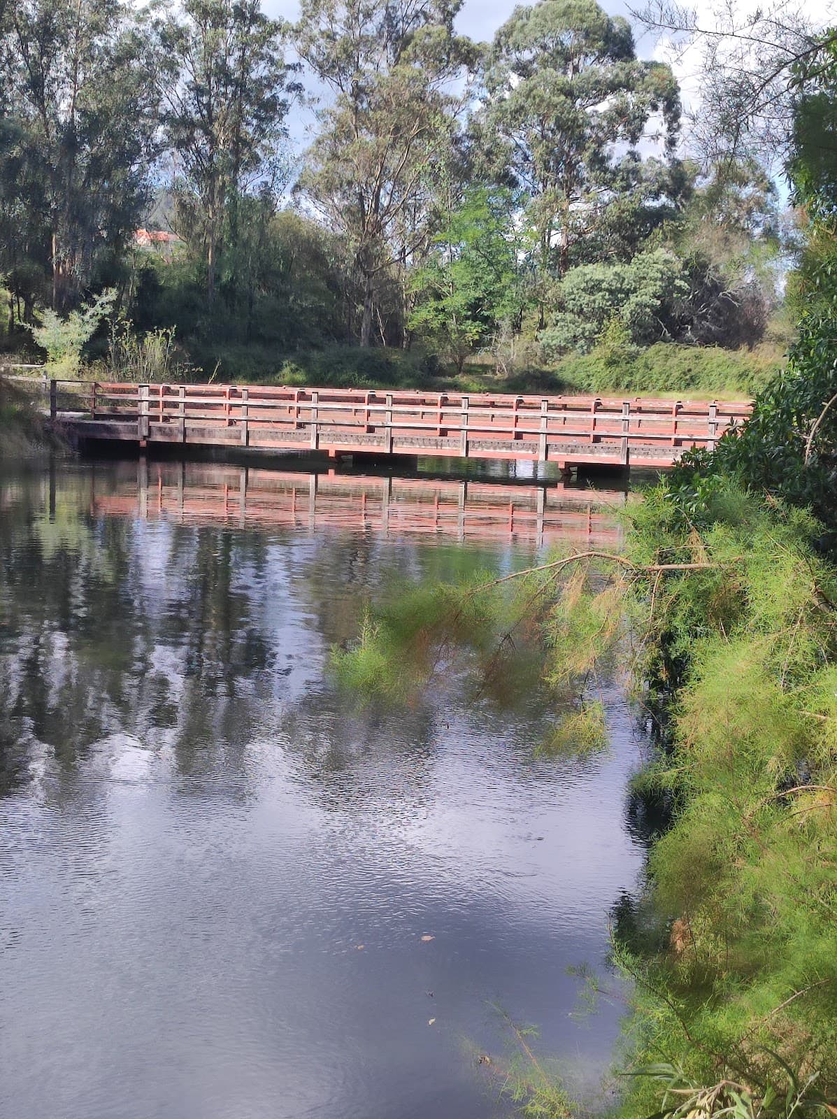 Xunqueira de Alba Park - Image 1