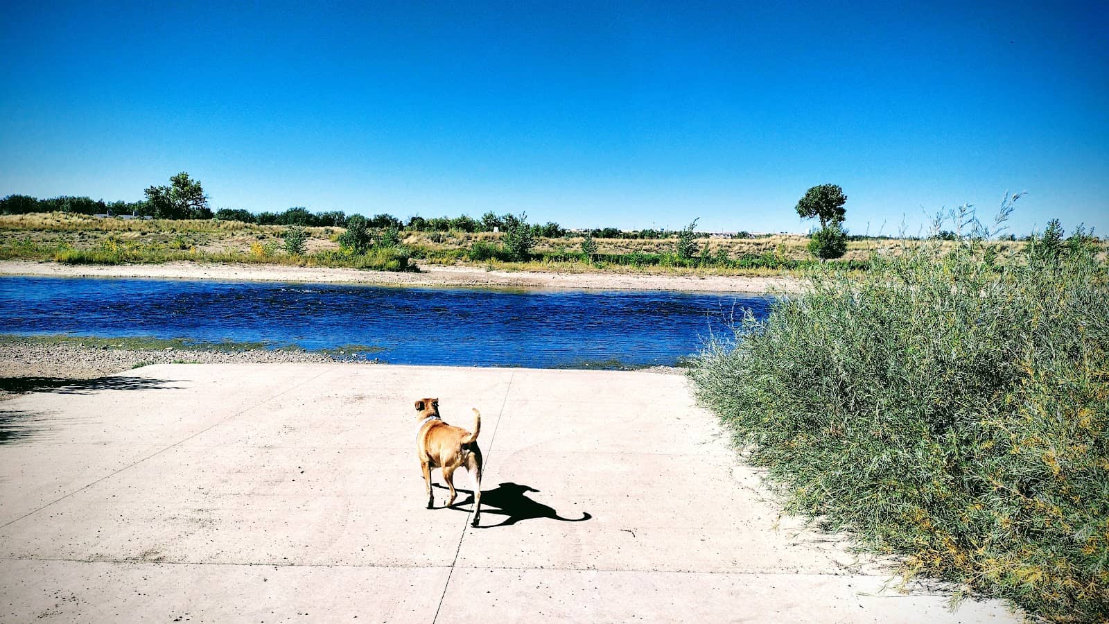 Life Jacket Loner Station