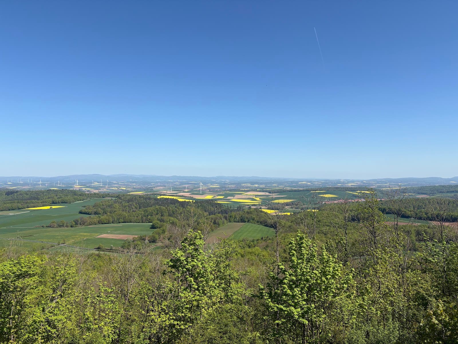 Göttingen Stadtwald - Image 1