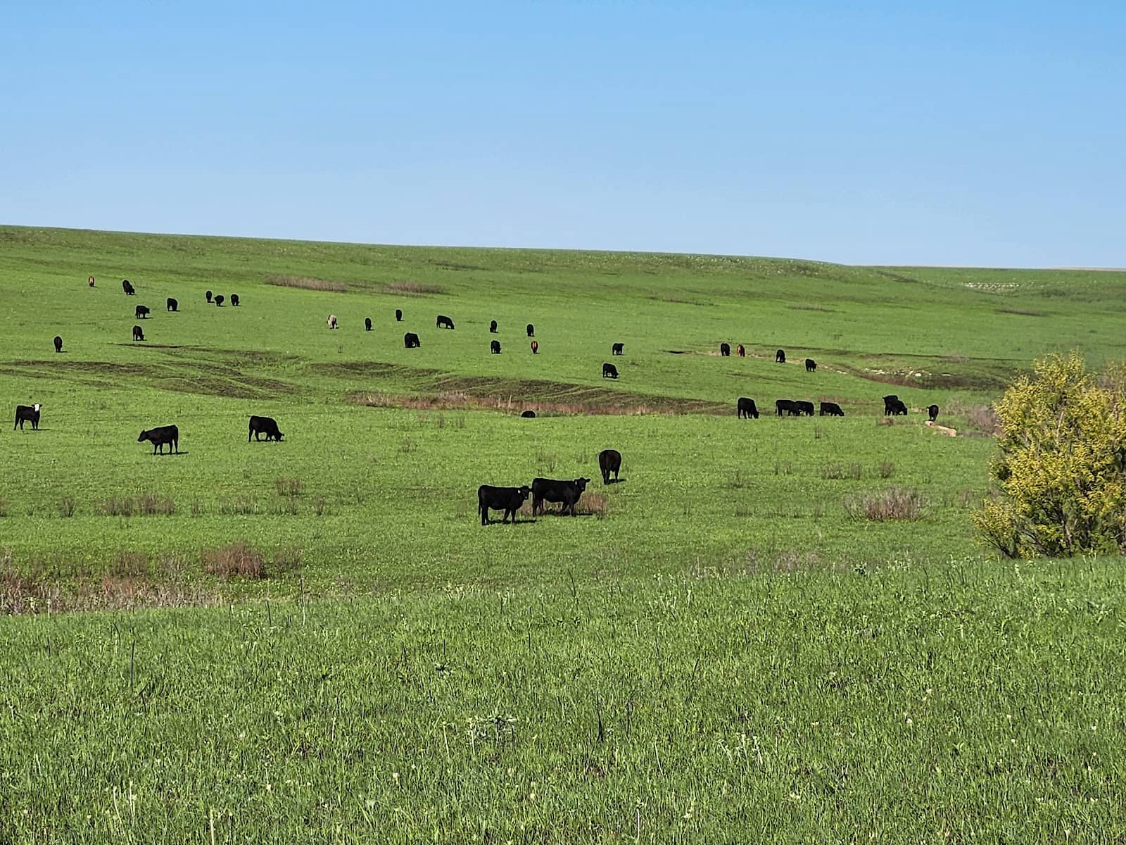 Flint Hills Scenic Byway