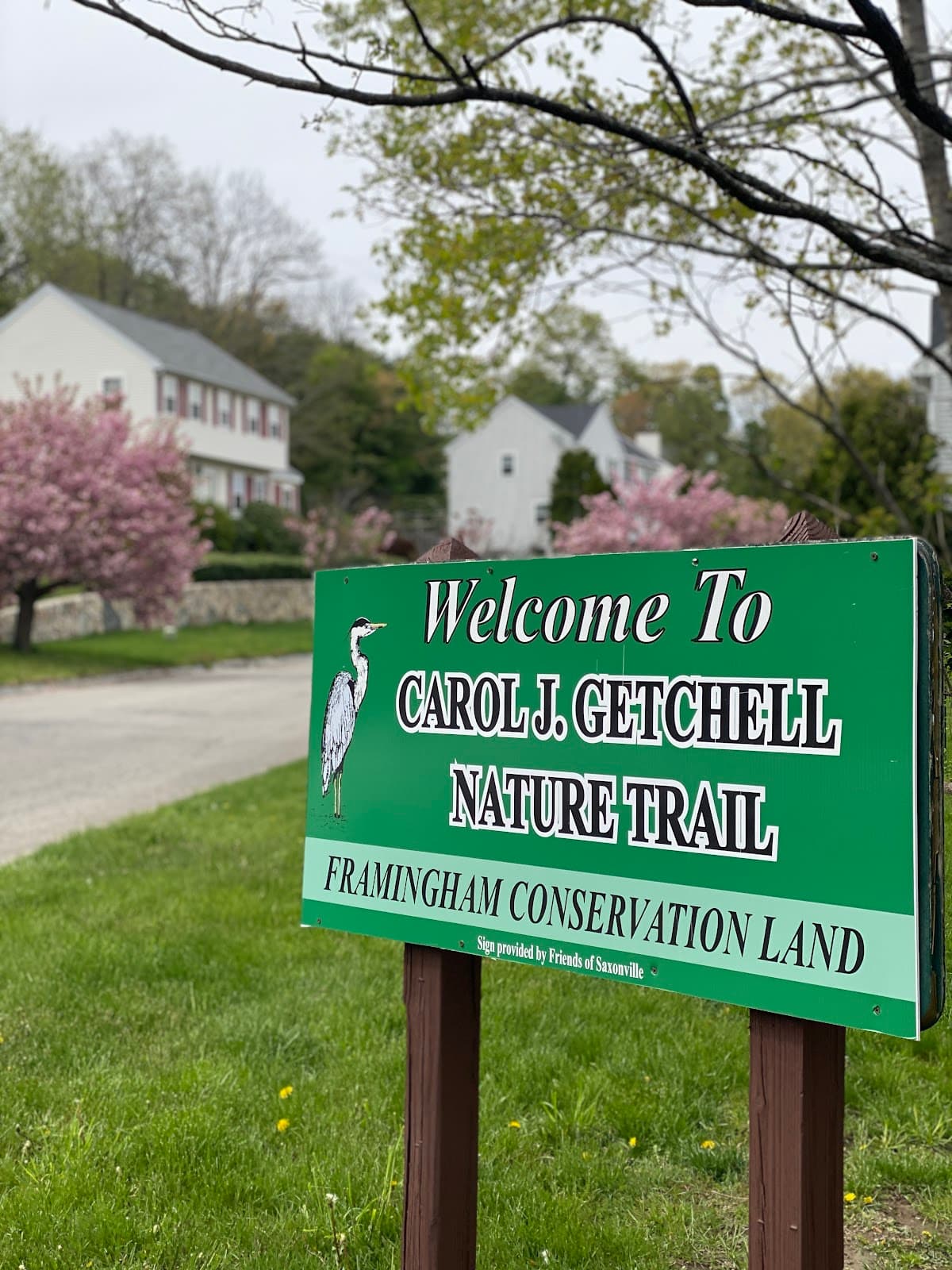 Carol Getchell Nature Trail - Image 1