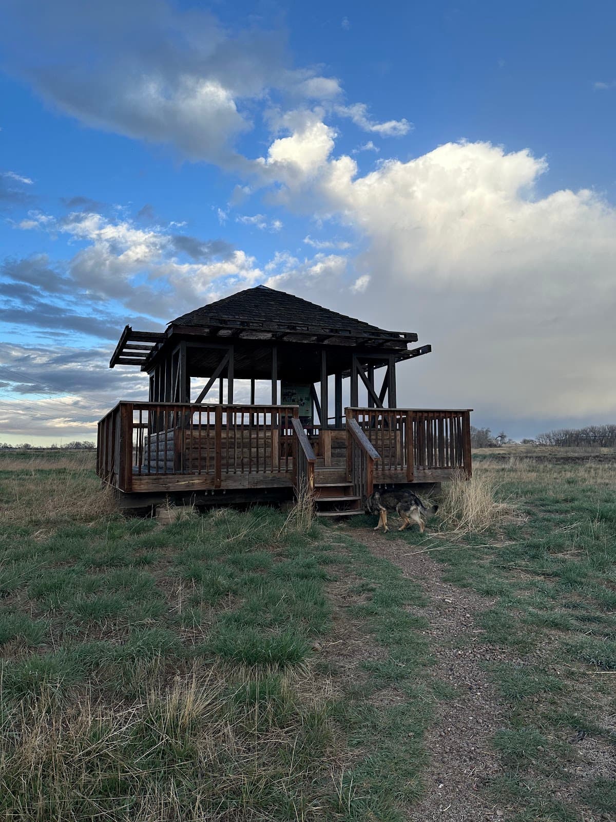 Running Deer Natural Area - Image 1