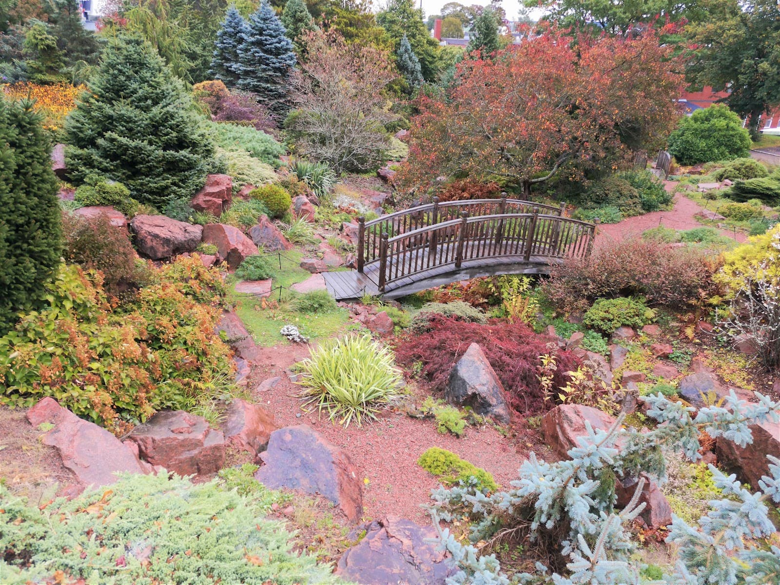 Dal AC Rock Garden - Image 1