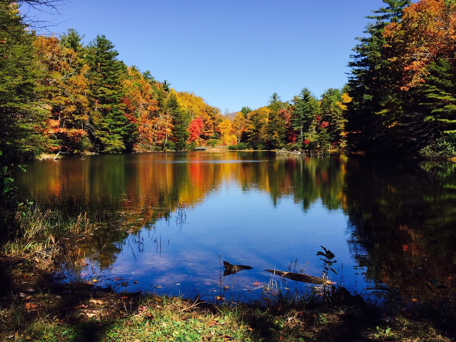 Dockery Lake Recreation Area - Image 1
