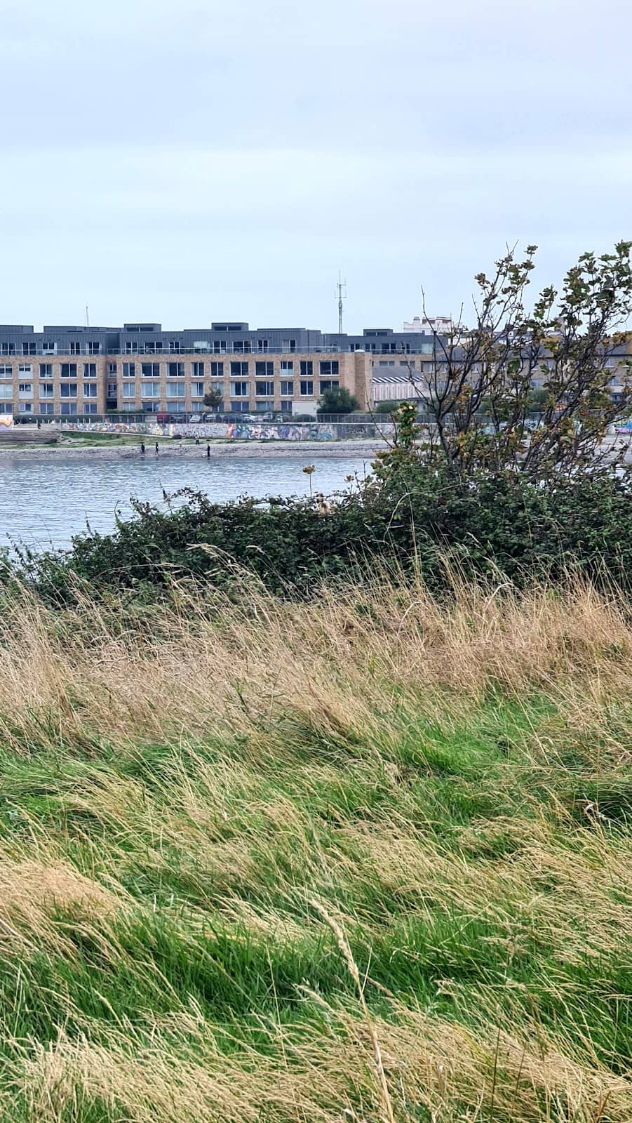 Coastal Beach Access