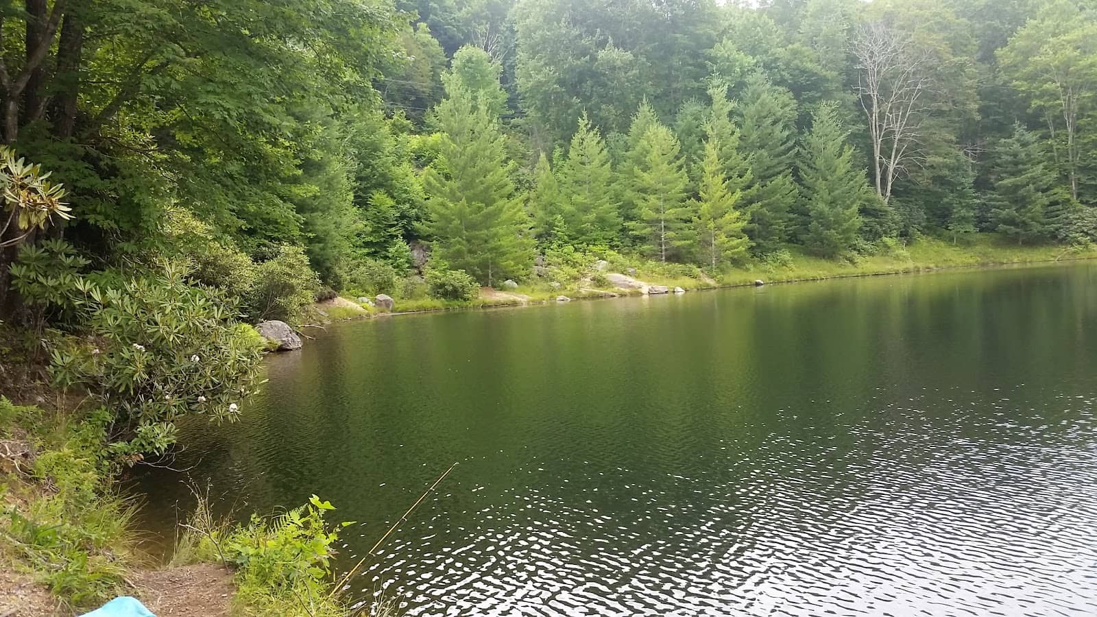 Local Charm and Dining