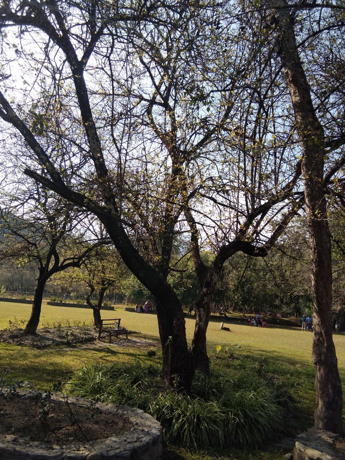 Phayeng Eco Tourism Park - Image 1