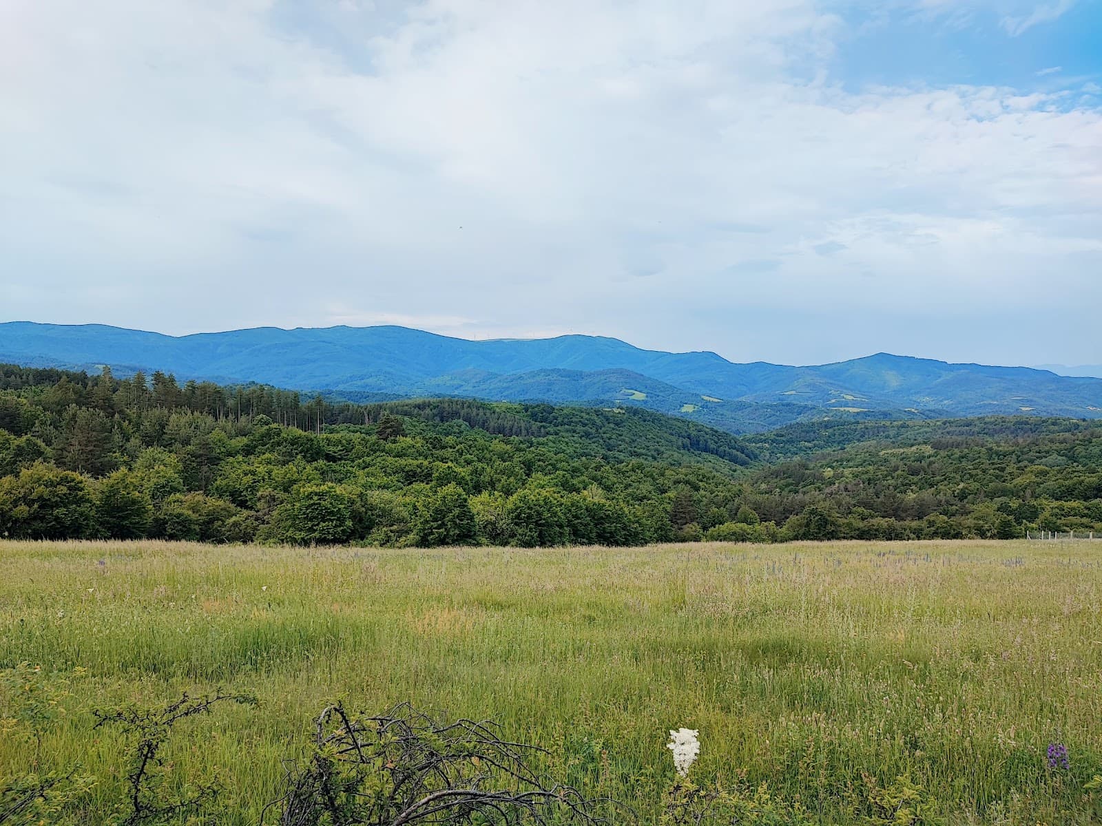 Bulgarka Nature Park - Image 1