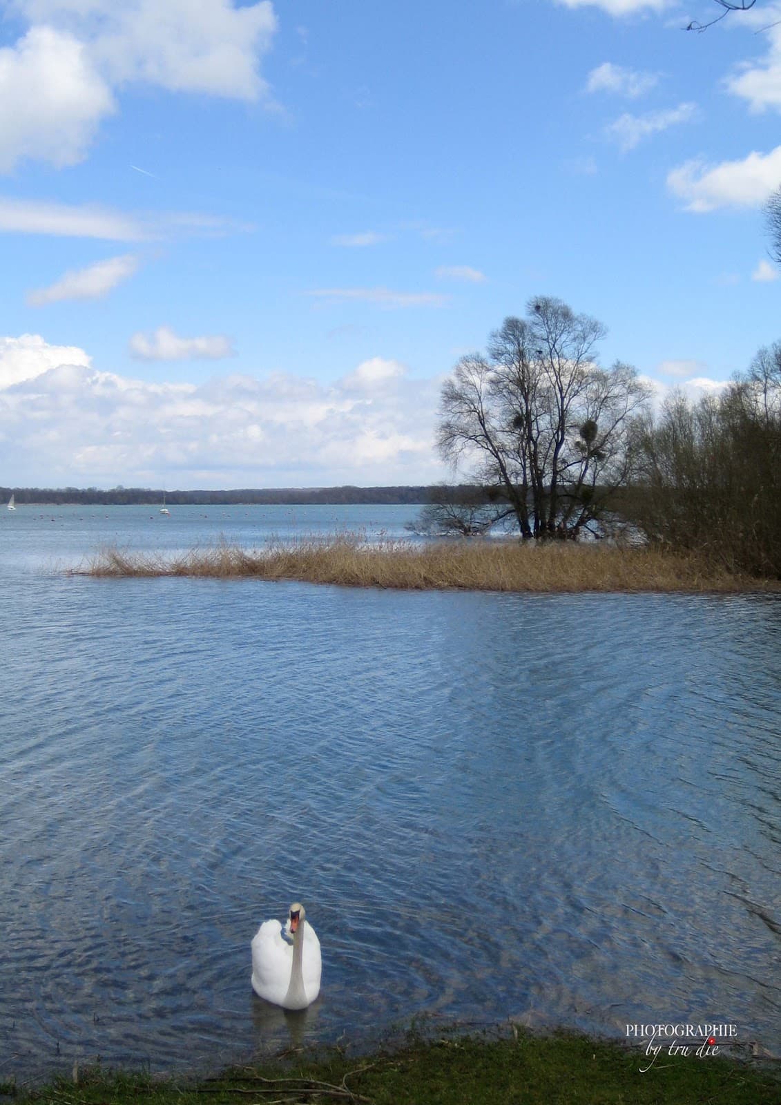 Vélovoie des Lacs - Image 1