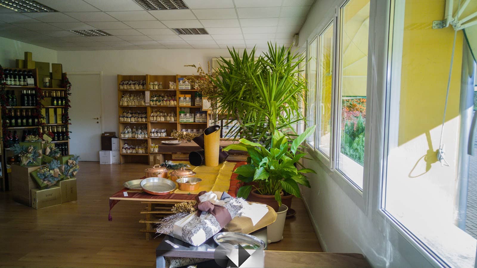 Carnaroli Rice Fields