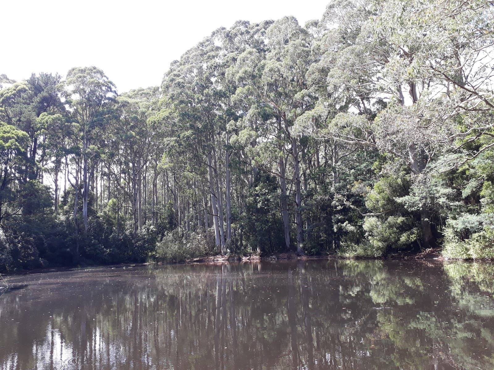 Sanatorium Lake - Image 1