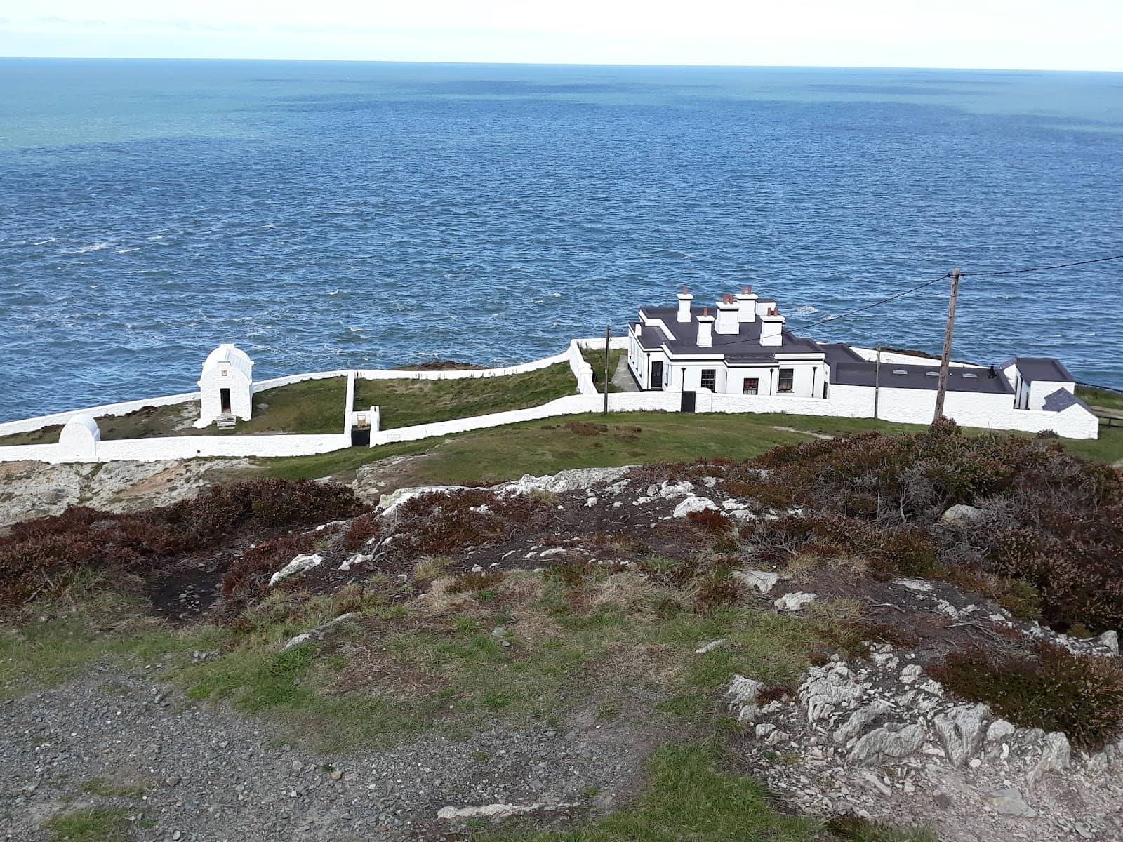 Abundant Seabird Colonies