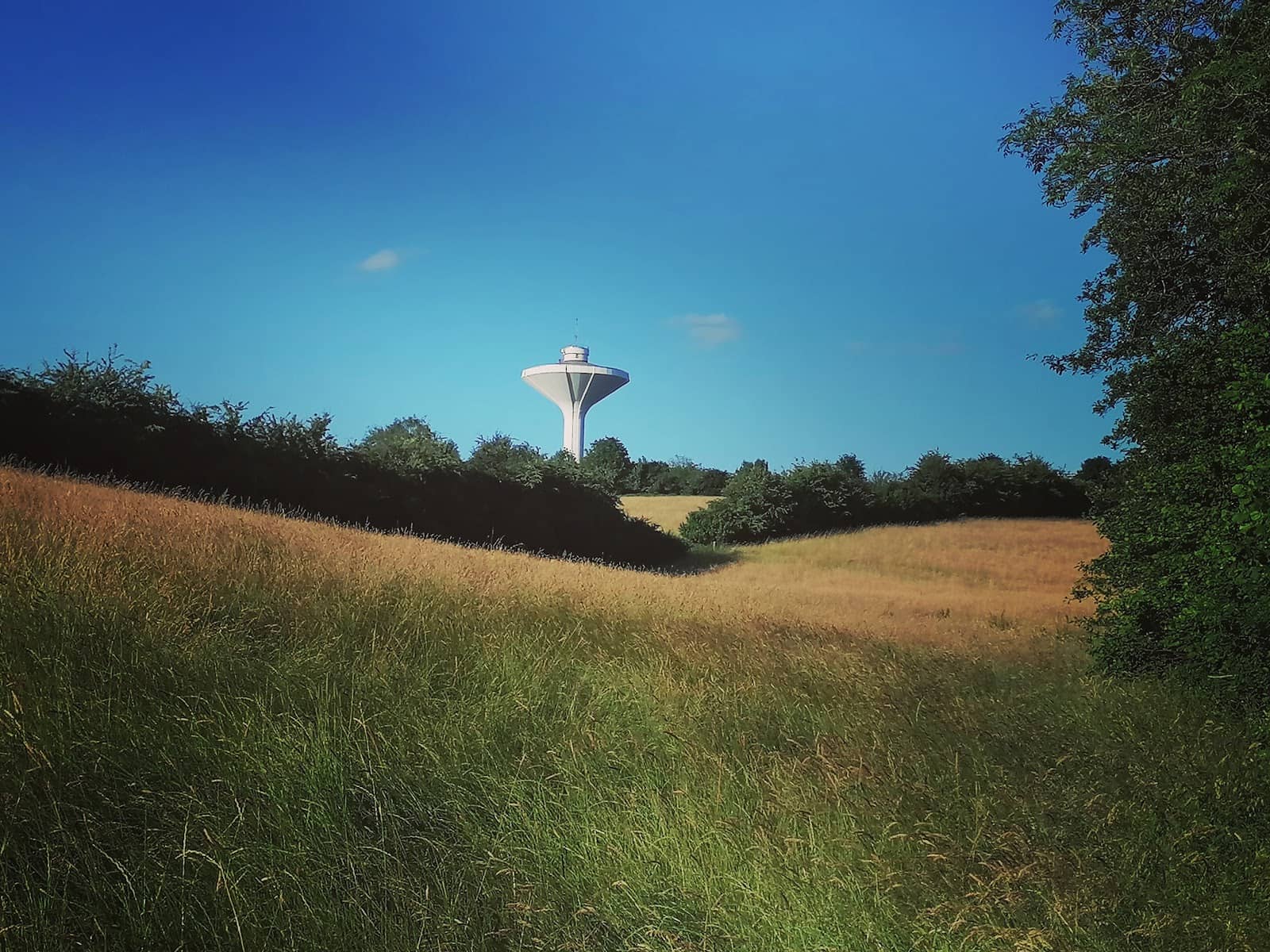 Vertical photo