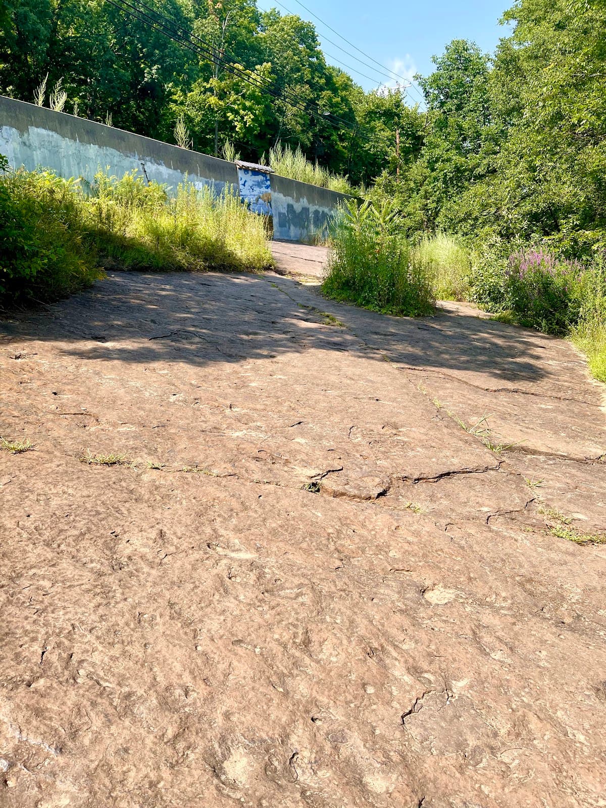 Dinosaur Footprints Reservation - Image 1