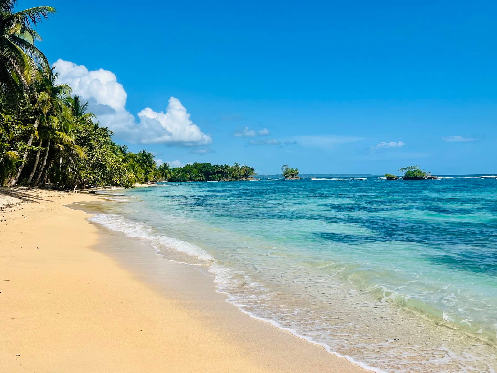 Snorkeling Opportunities