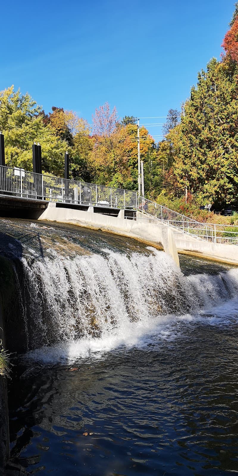 Mill Dam & Fish Ladder - Image 1