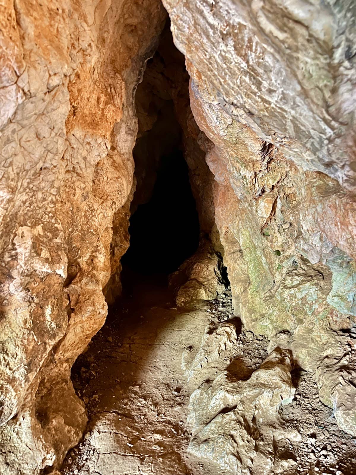 Vertical photo